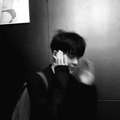 Furry插画光影处理福瑞群